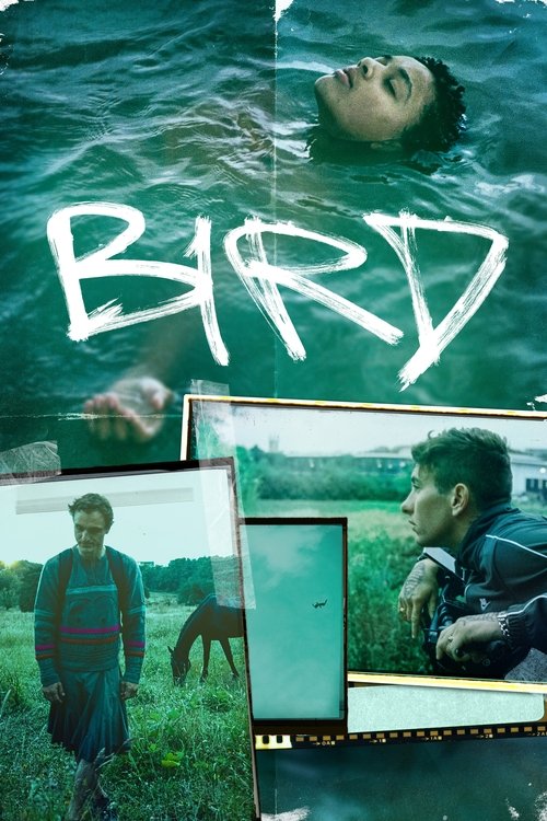 Barry Keoghan in Bird (2024)