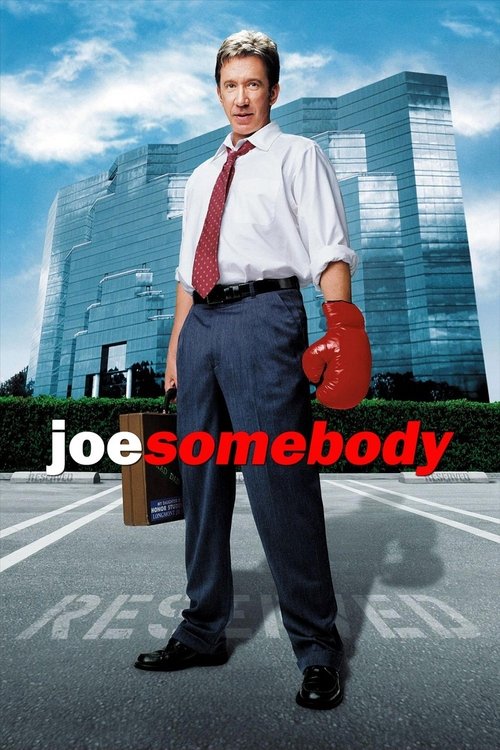 Tim Allen in Joe Somebody (2001)