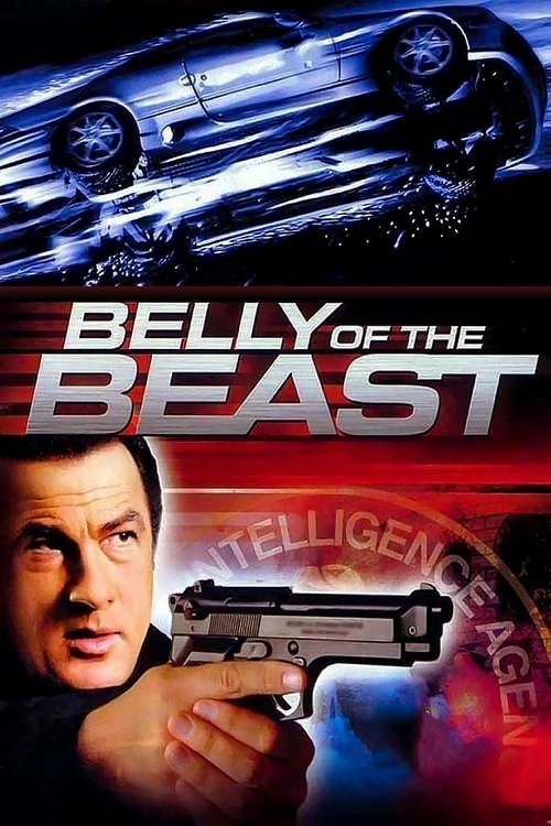 Steven Seagal in Belly of the Beast (2003)