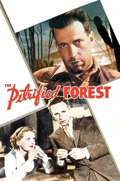 Bette Davis in The Petrified Forest (1936)