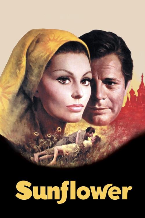 Sophia Loren in Sunflower (1970)