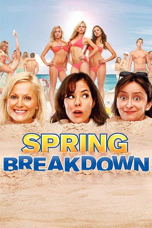 Amy Poehler in Spring Breakdown (2009)