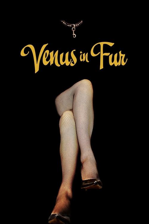 Roman Polanski in Venus in Fur (2013)