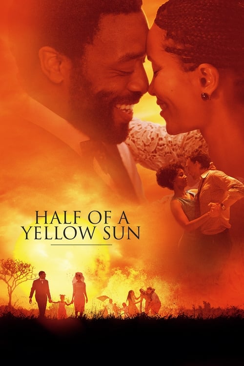 John Boyega in Half of a Yellow Sun (2013)