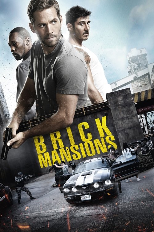 Paul Walker in Brick Mansions (2014)