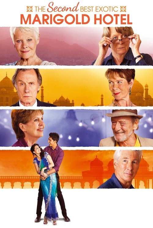 Dev Patel in The Second Best Exotic Marigold Hotel (2015)