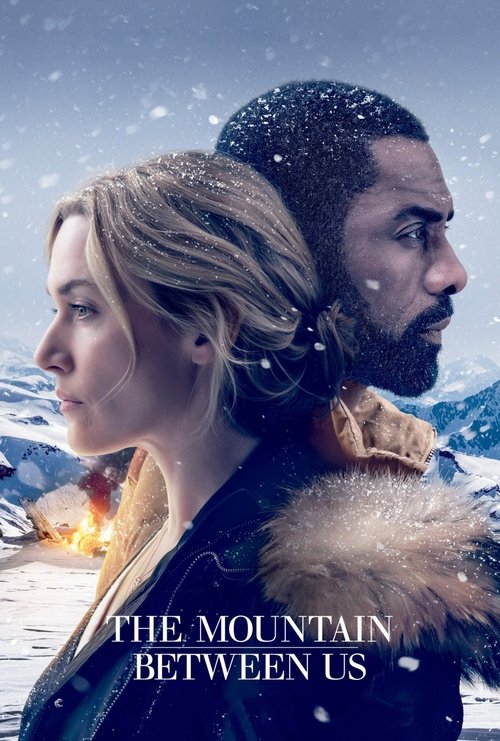 Kate Winslet in The Mountain Between Us (2017)