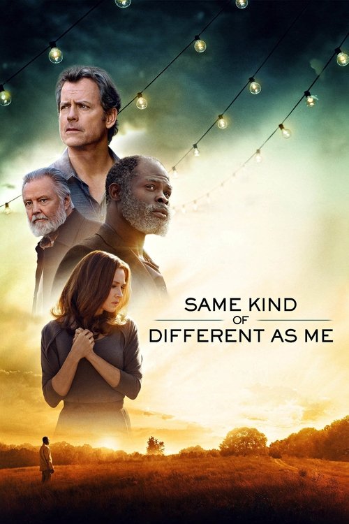 Renée Zellweger in Same Kind of Different as Me (2017)