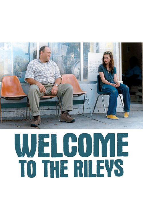 Ally Sheedy in Welcome to the Rileys (2010)