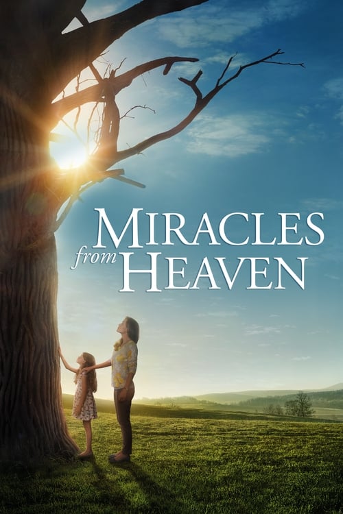 Jennifer Garner in Miracles from Heaven (2016)
