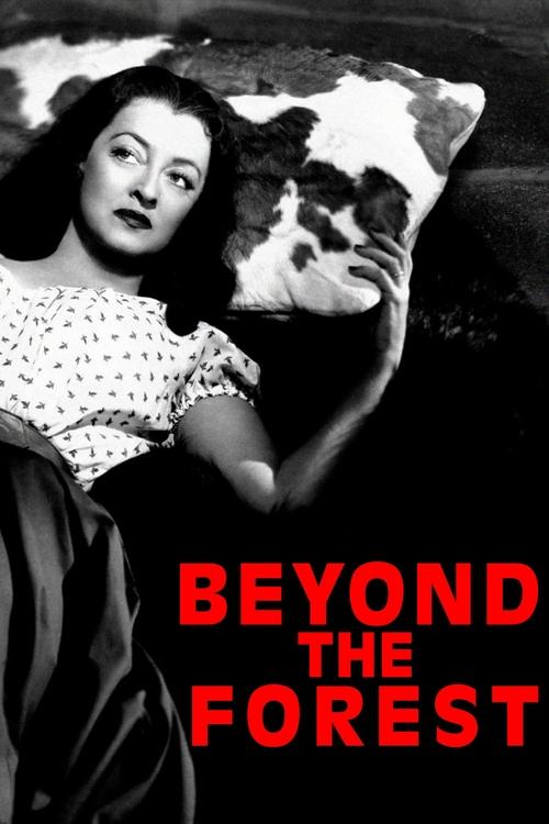 Bette Davis in Beyond the Forest (1949)