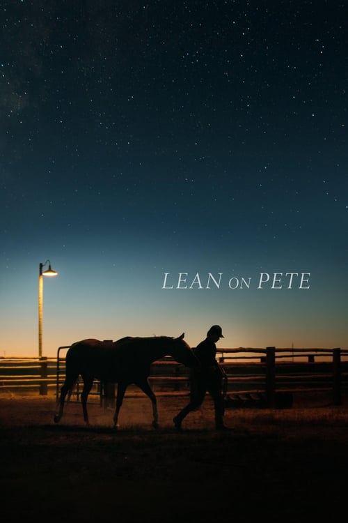 Steve Zahn in Lean on Pete (2018)