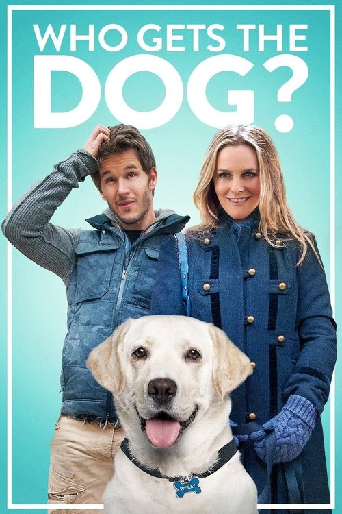 Alicia Silverstone in Who Gets the Dog? (2016)