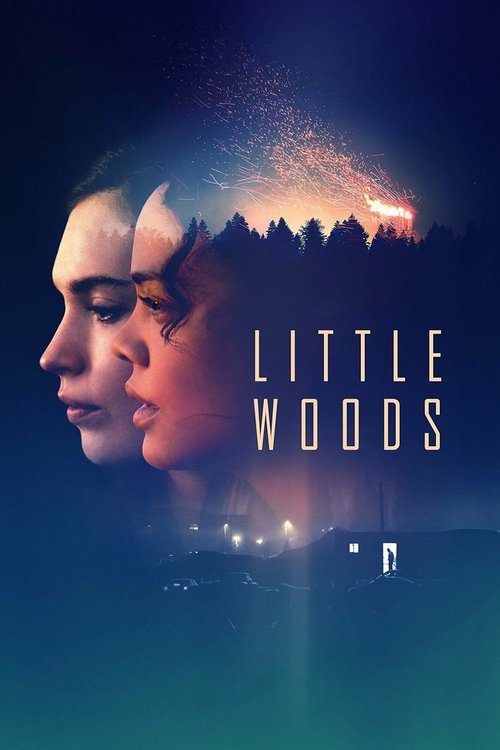 Tessa Thompson in Little Woods (2019)