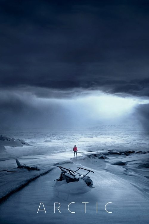Mads Mikkelsen in Arctic (2018)