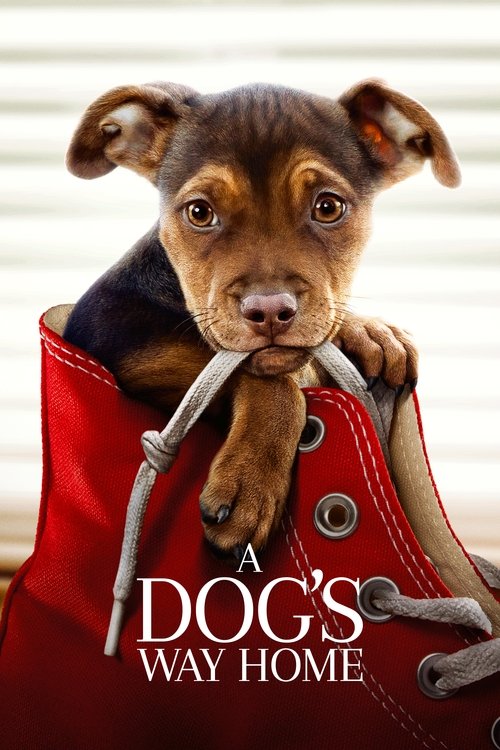 Ashley Judd in A Dog's Way Home (2019)