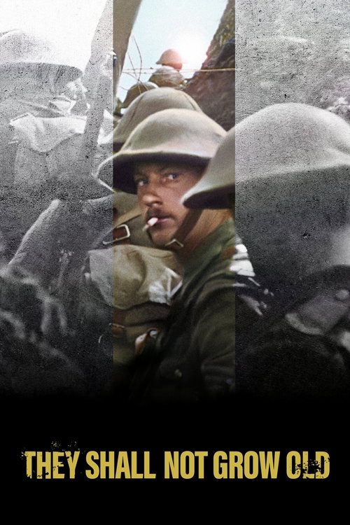 Peter Jackson in They Shall Not Grow Old (2018)