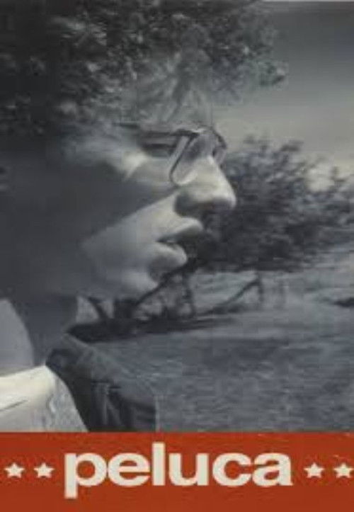 Jon Heder in Peluca (2003)
