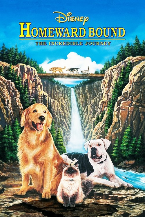 Michael J. Fox in Homeward Bound: The Incredible Journey (1993)
