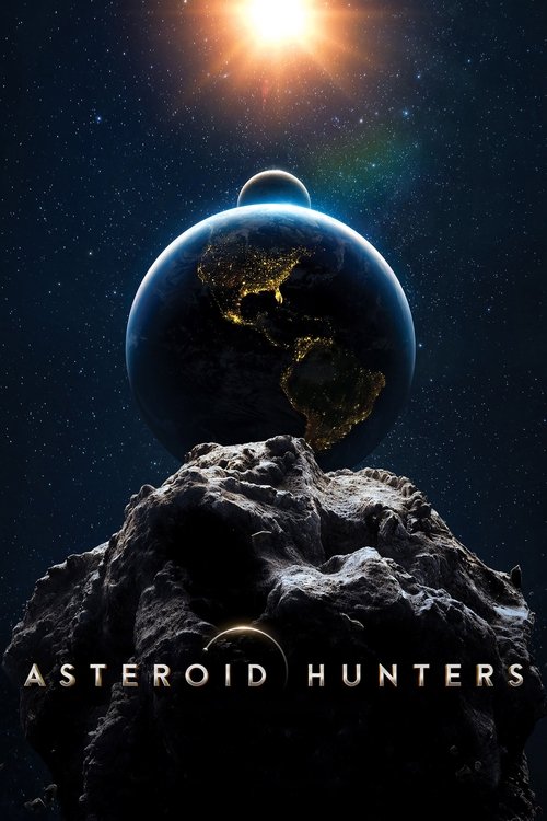 Daisy Ridley in Asteroid Hunters (2020)