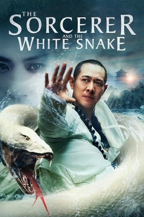 Jet Li in The Sorcerer and the White Snake (2011)