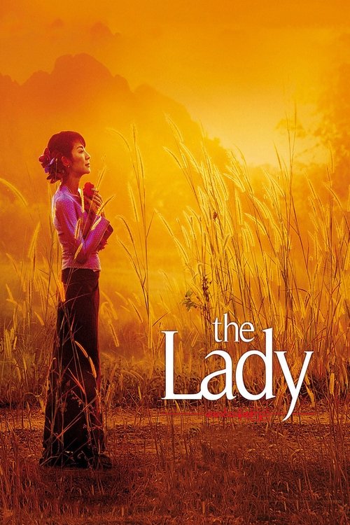 David Thewlis in The Lady (2011)