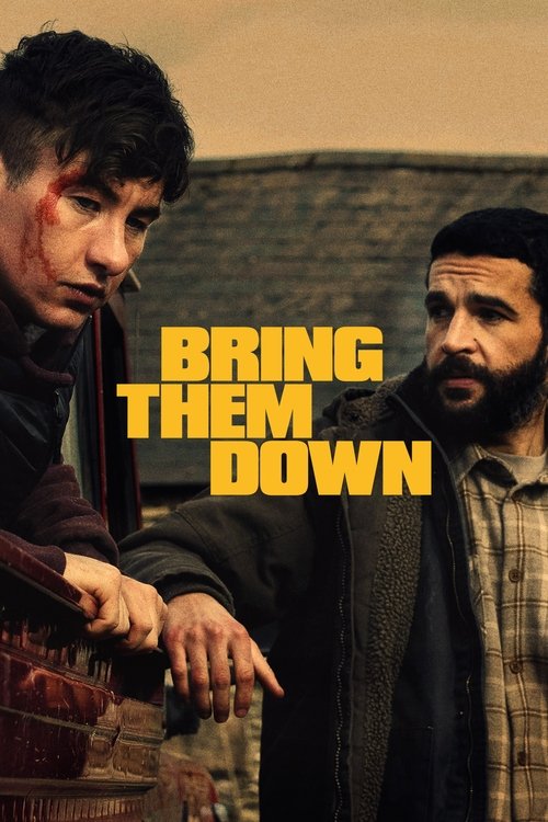 Barry Keoghan in Bring Them Down (2025)
