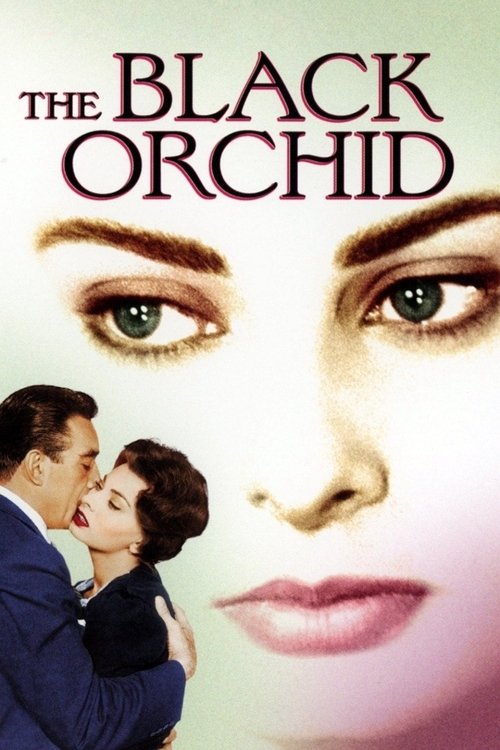 Sophia Loren in The Black Orchid (1959)