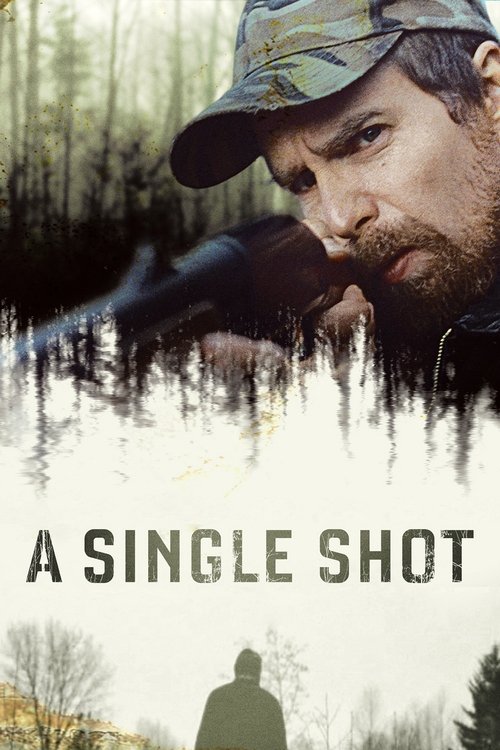 2013 Crime in A Single Shot (2013)