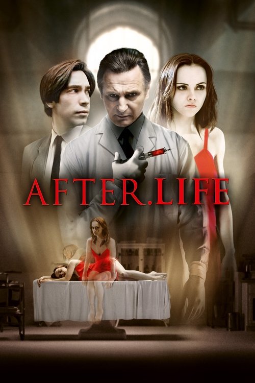 2009 Horror in After.Life (2009)