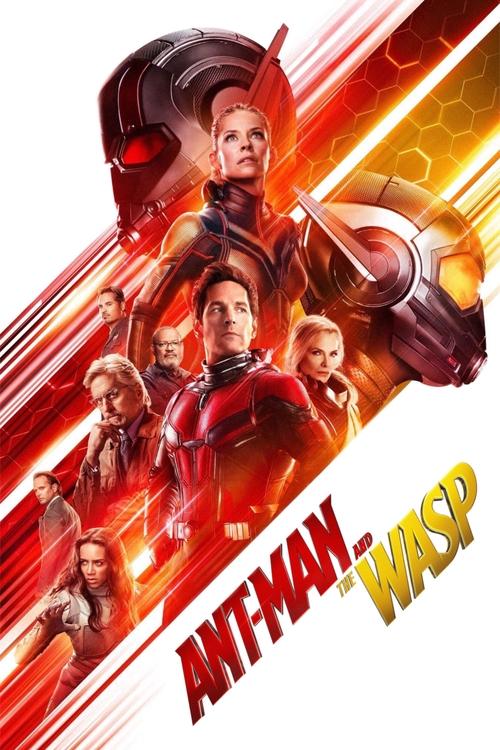 Evangeline Lilly in Ant-Man and the Wasp (2018)