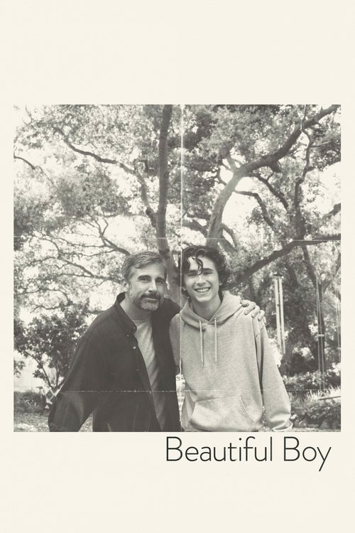 Timothée Chalamet in Beautiful Boy (2018)