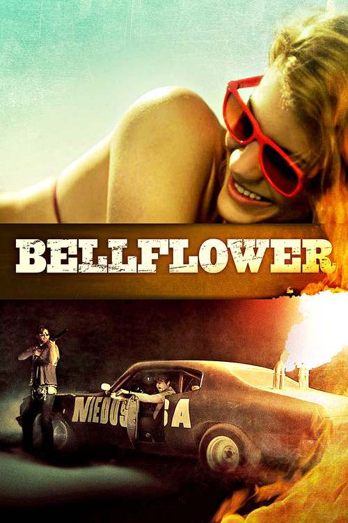 2011 in Bellflower (2011)