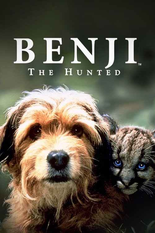 1987 in Benji the Hunted (1987)