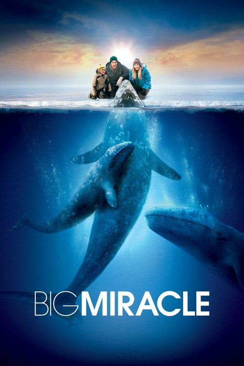 John Krasinski in Big Miracle (2012)