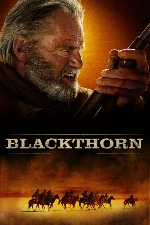 2011 Action in Blackthorn (2011)