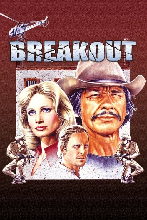 1975 Action in Breakout (1975)