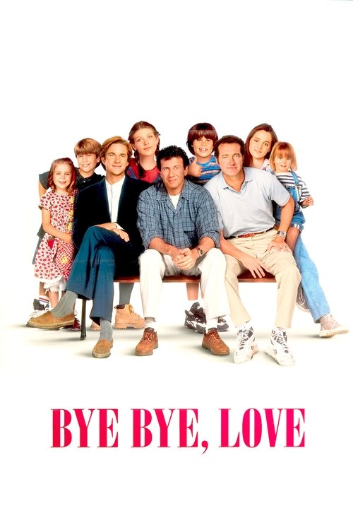 Paul Reiser in Bye Bye Love (1995)