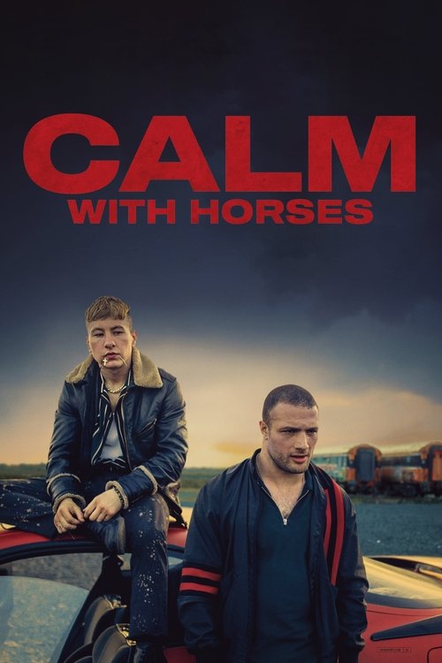 Barry Keoghan in Calm with Horses (2020)