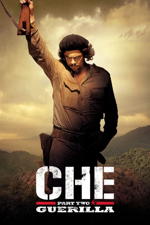 2008 in Che: Part Two (2008)