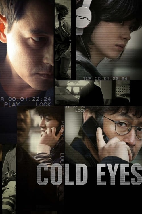 2013 Crime in Cold Eyes (2013)