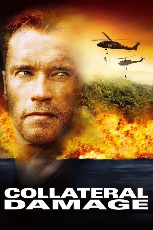 2002 Action in Collateral Damage (2002)