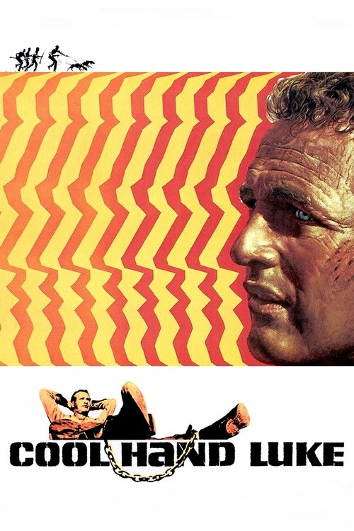 Dennis Hopper in Cool Hand Luke (1967)