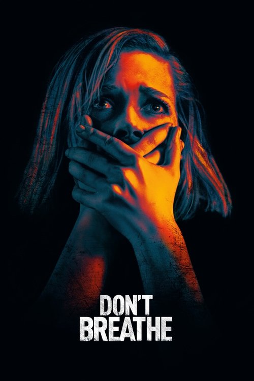 2016 Crime in Don't Breathe (2016)