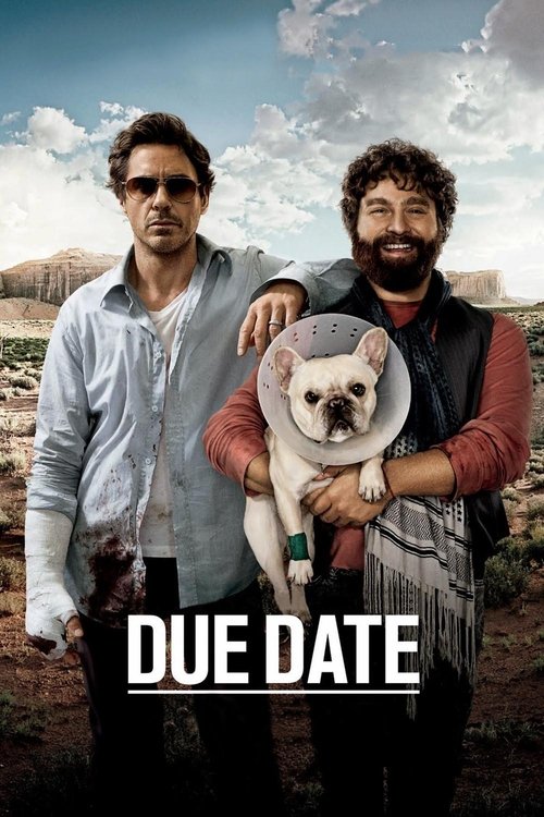 Todd Phillips in Due Date (2010)
