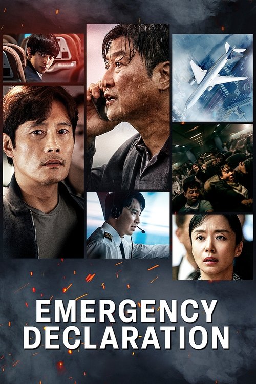 2022 Thriller in Emergency Declaration (2022)