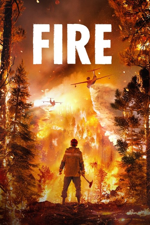 2020 Action in Fire (2020)