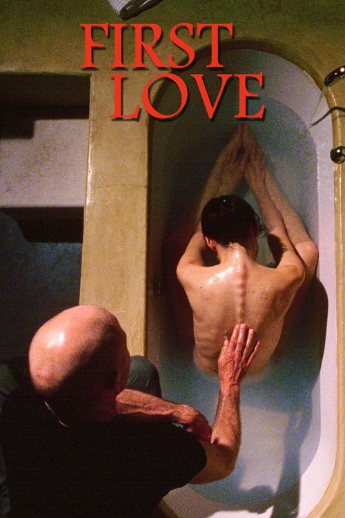 2004 Horror in First Love (2004)