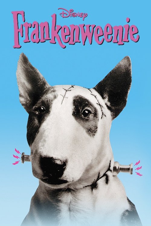 Tim Burton in Frankenweenie (1984)