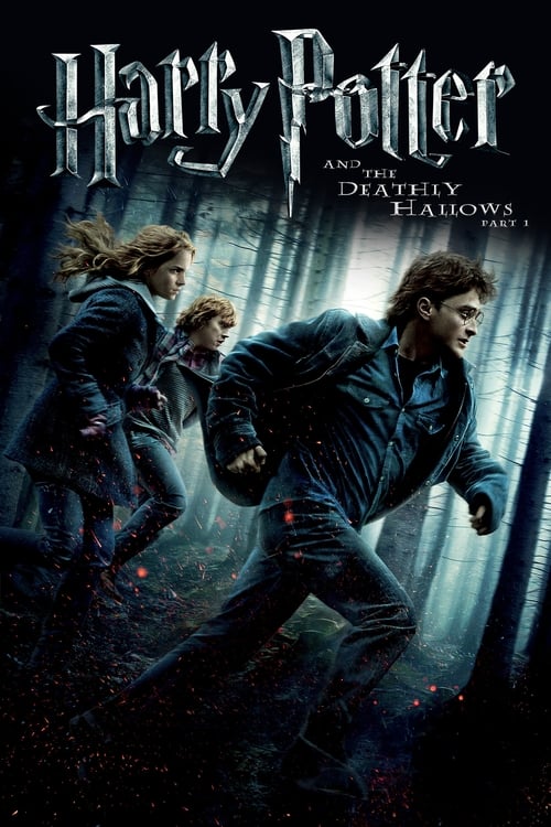 Daniel Radcliffe in Harry Potter and the Deathly Hallows: Part 1 (2010)